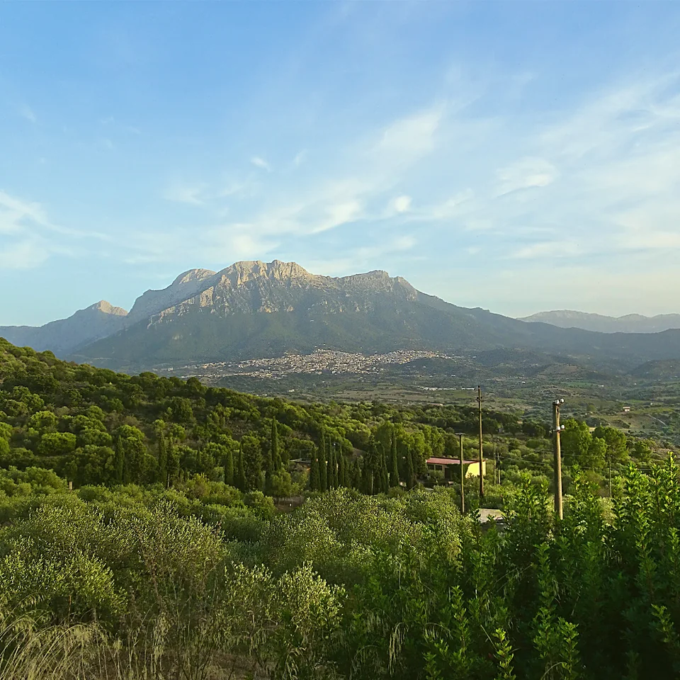Panorama sul monte e la macchia mediterranea nella Sardegna centrorientale